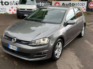 Volkswagen Golf  Golf VII 5p 1.4 tgi Highline Executive (business)