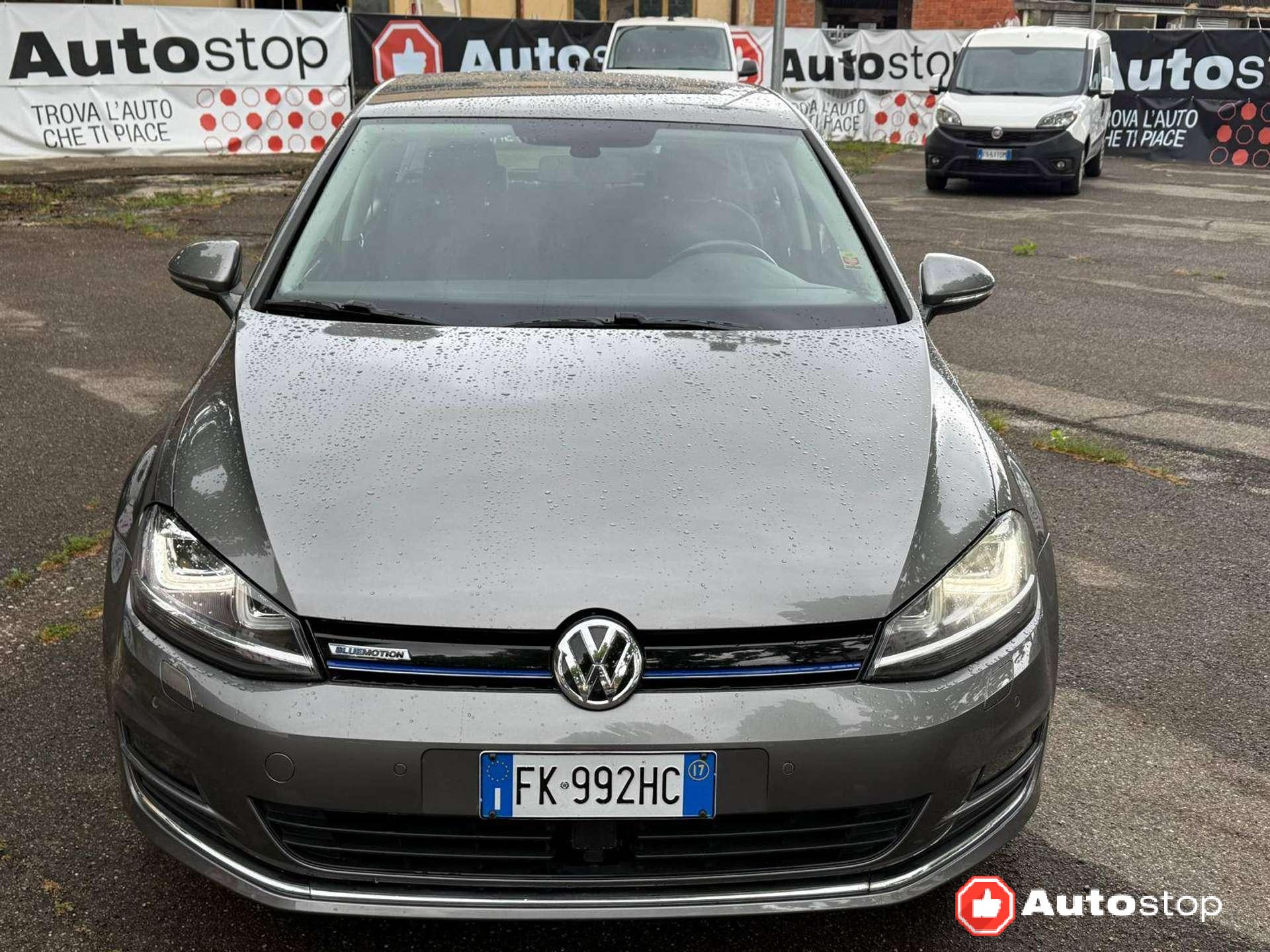 Volkswagen Golf  Golf VII 5p 1.4 tgi Highline Executive (business)