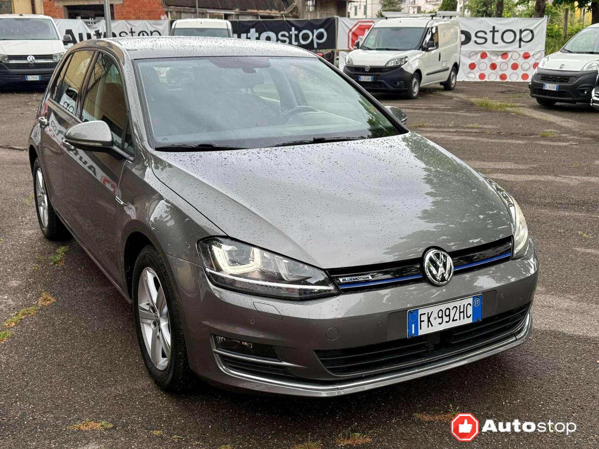 Volkswagen Golf  Golf VII 5p 1.4 tgi Highline Executive (business)