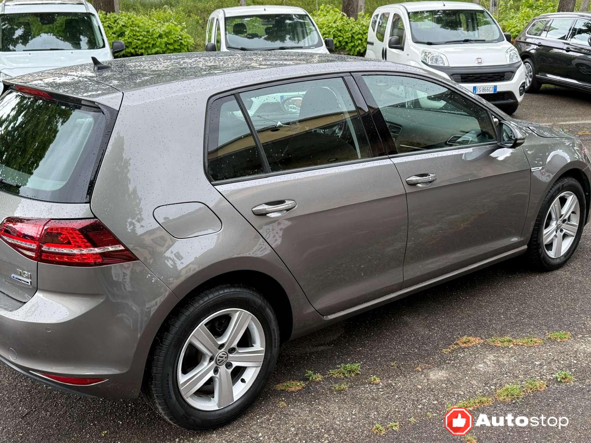 Volkswagen Golf  Golf VII 5p 1.4 tgi Highline Executive (business)