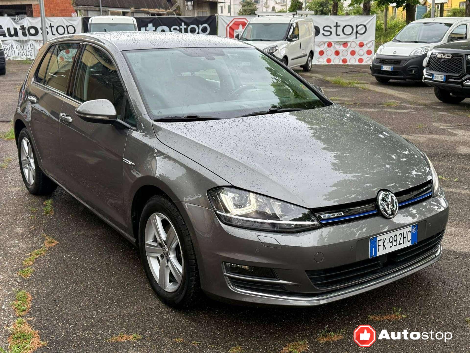 Volkswagen Golf  Golf VII 5p 1.4 tgi Highline Executive (business)