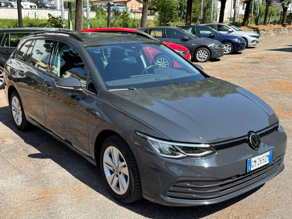 Volkswagen Golf Variant  Golf VII Variant 2.0 tdi Life 115cv dsg